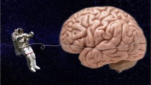 Scientists Discover How Life in Space Can Quietly Change the Human Brain — From Constant Stress to Sleep Disruption, the Hidden Effects Go Far Beyond What Most People Imagine