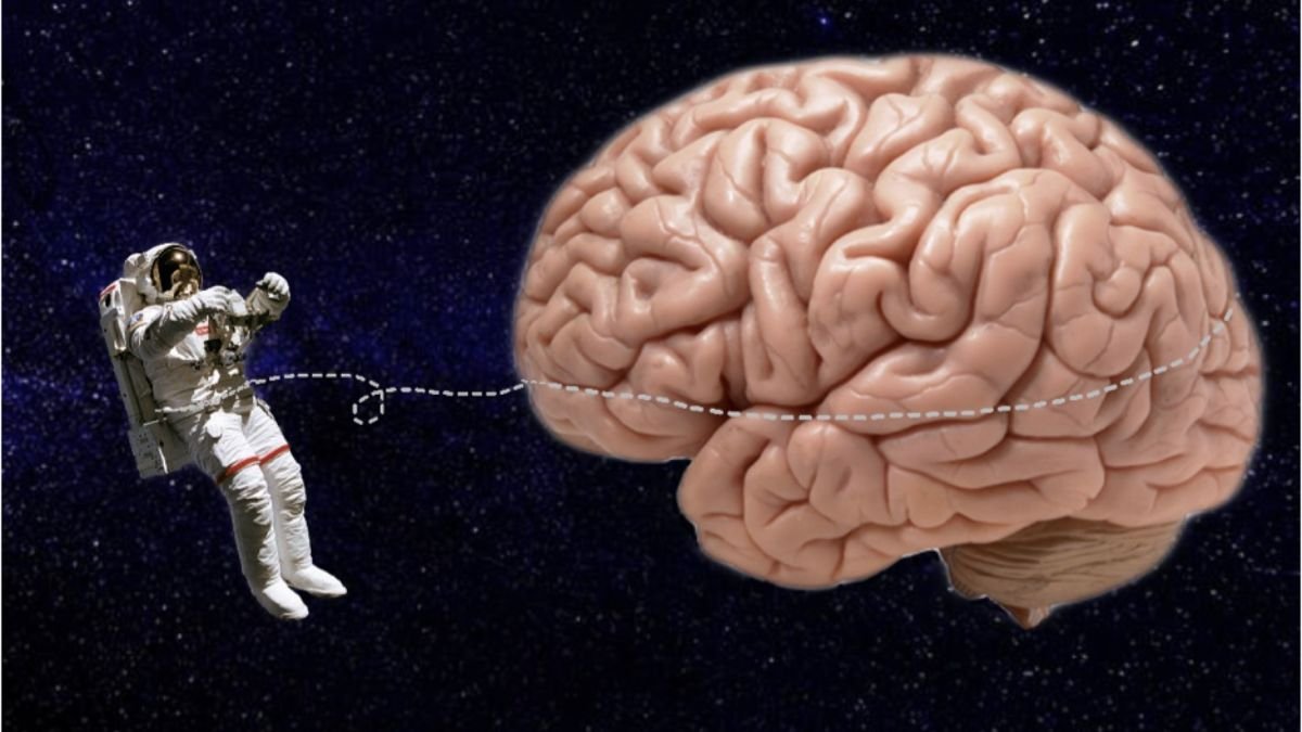 Scientists Discover How Life in Space Can Quietly Change the Human Brain — From Constant Stress to Sleep Disruption, the Hidden Effects Go Far Beyond What Most People Imagine